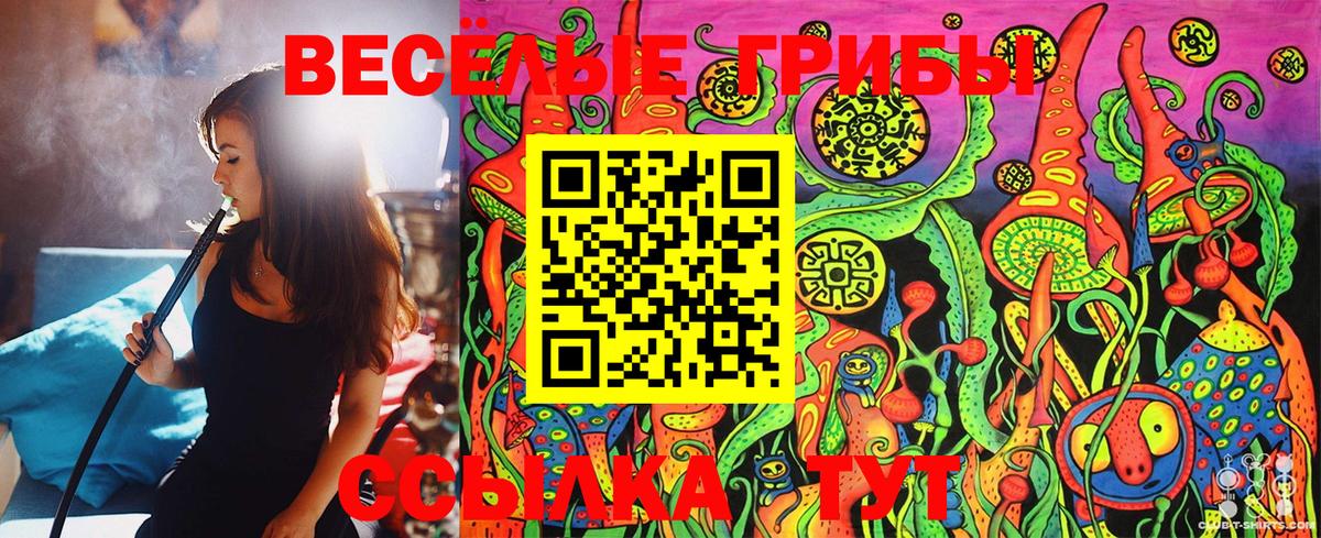 Псилоцибиновые грибы MAGIC MUSHROOMS Екатеринбург